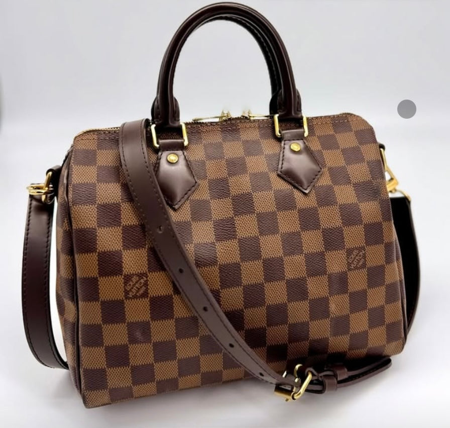LV Speedy 25 B Damier Ebene