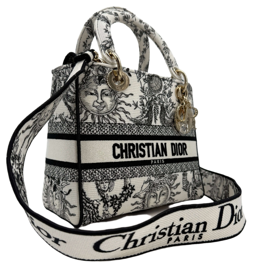 Christian Dior Lady D-Lite Medium Bag in embroidered canvas, featuring artistic designs and gold hardware.
