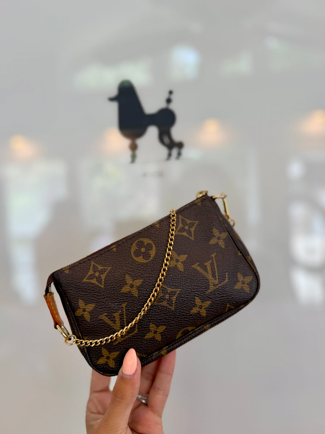 Lv mini pochette