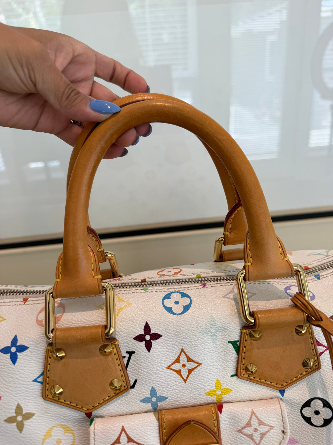LV multicolor speedy