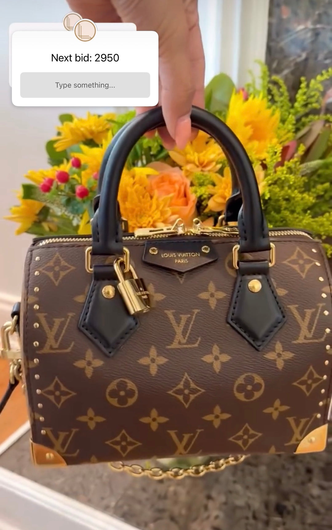 LV speedy trunk 20