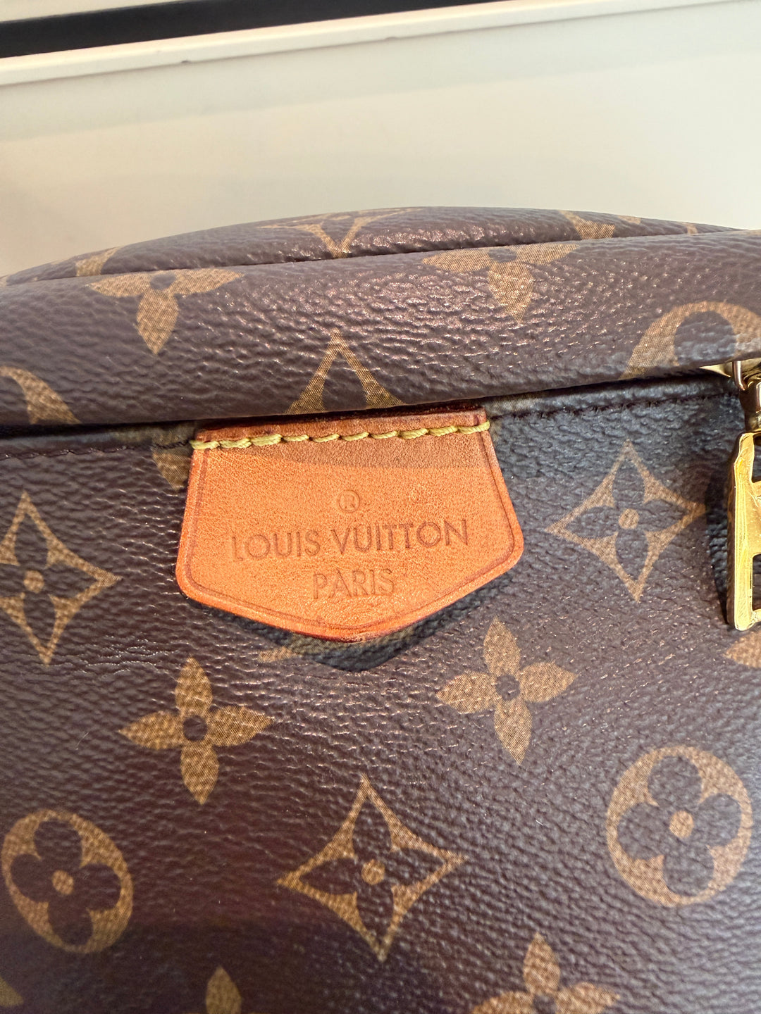 LV bumbag