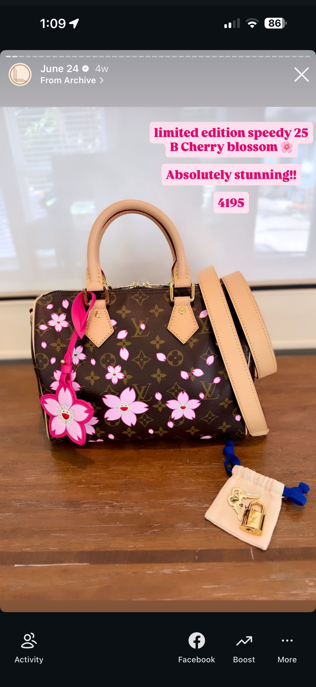 LV Cherry speedy