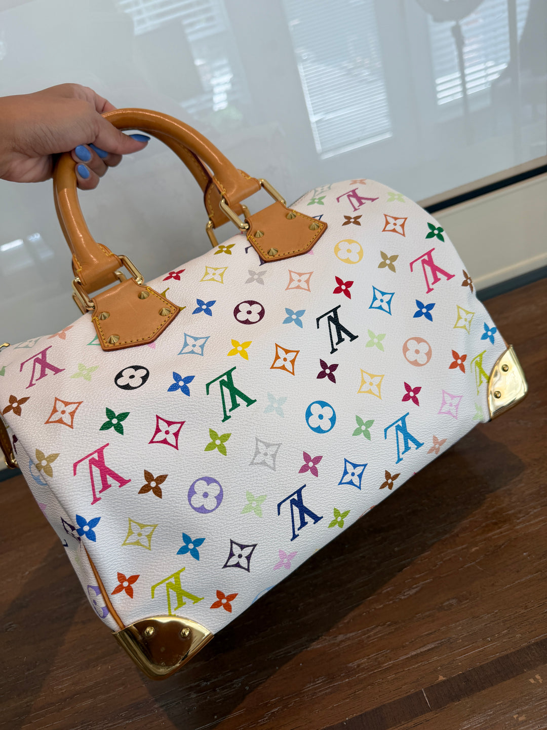 LV multicolor speedy