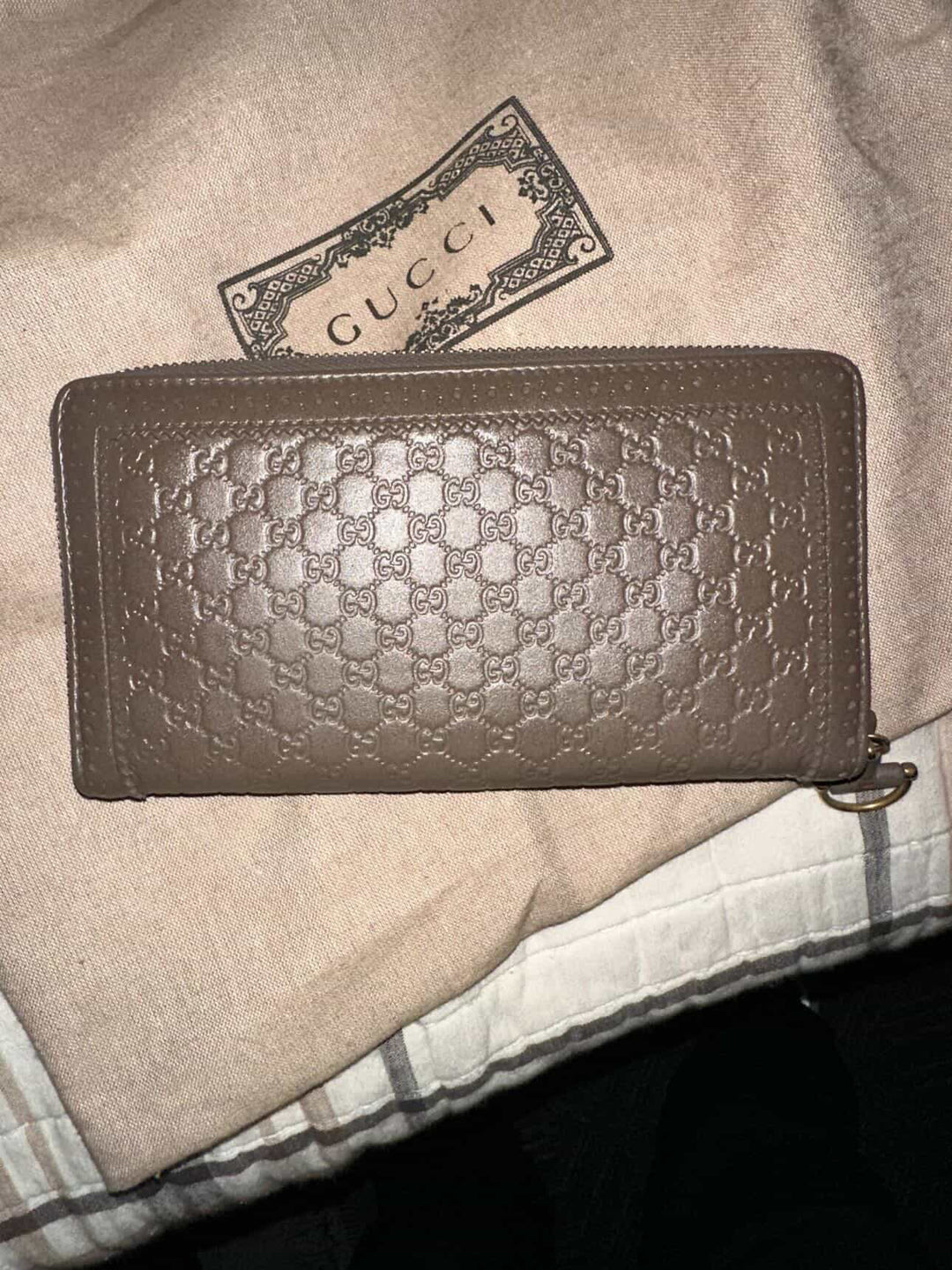 Gucci zippy