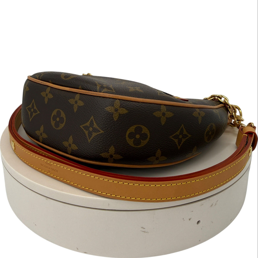 Louis Vuitton Monogram Loop Shoulder Bag