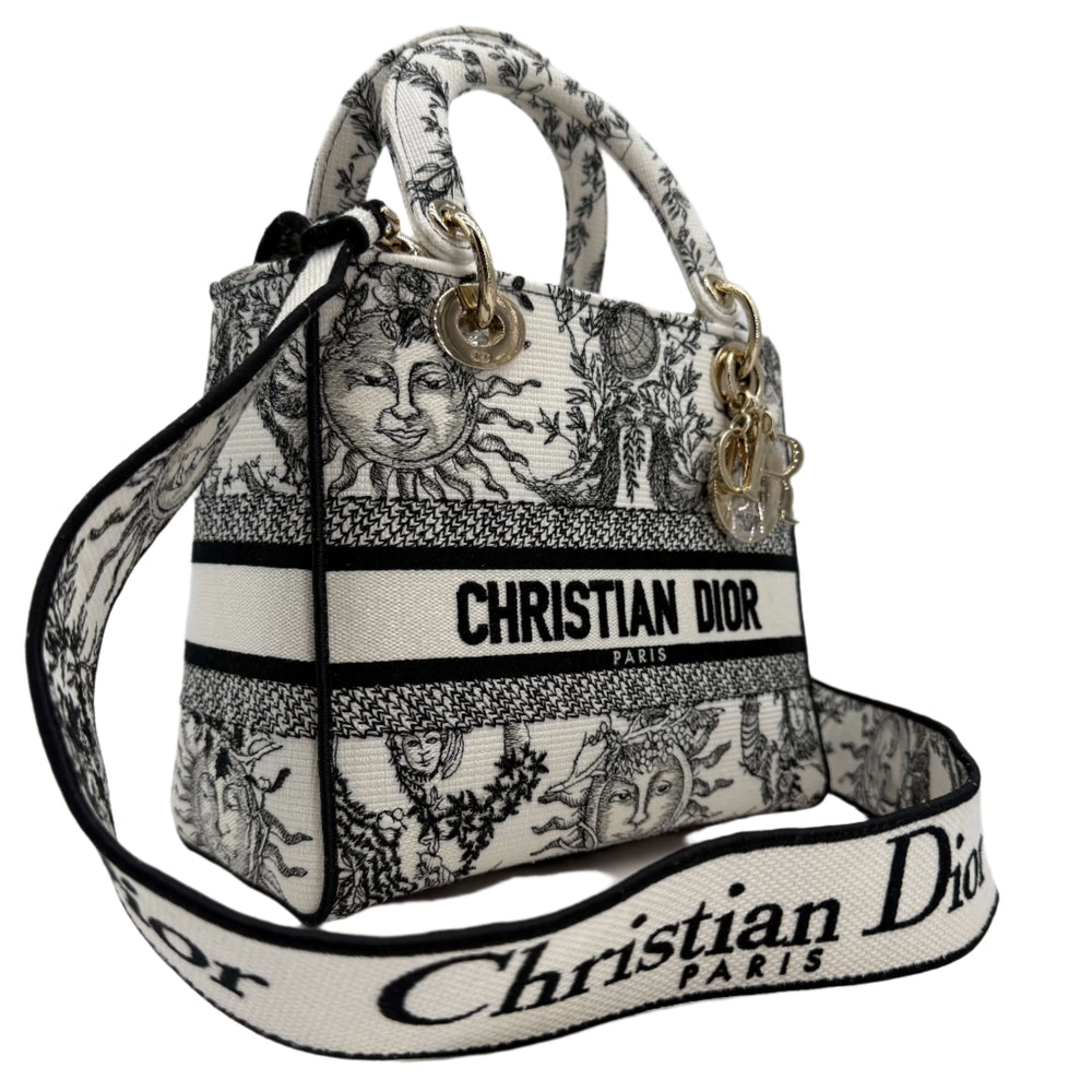 Christian Dior Lady D-Lite Medium Bag in embroidered canvas, featuring artistic designs and gold hardware.