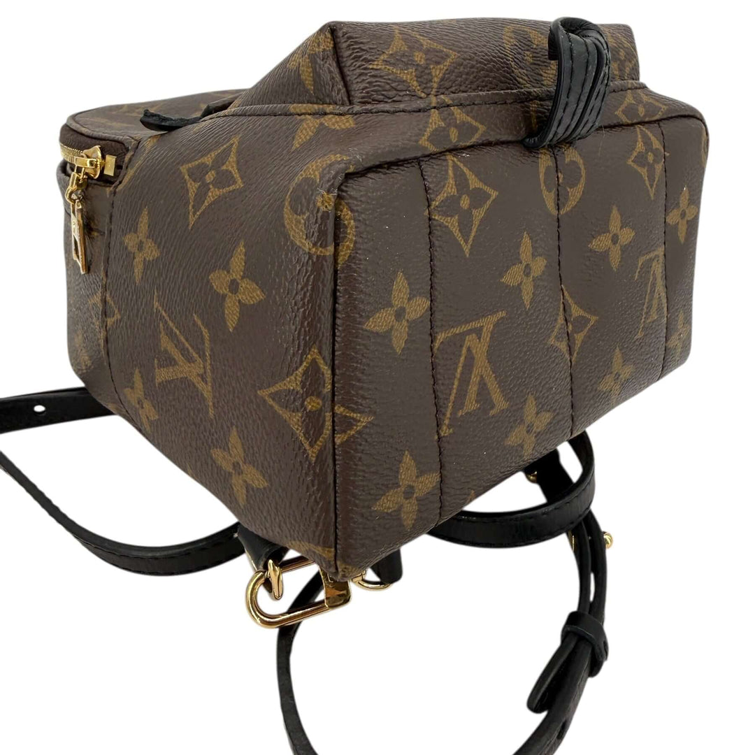 Louis Vuitton Palm Springs Mini Monogram Canvas Backpack