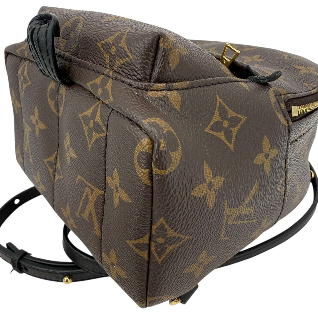 Louis Vuitton Palm Springs Mini Monogram Canvas Backpack