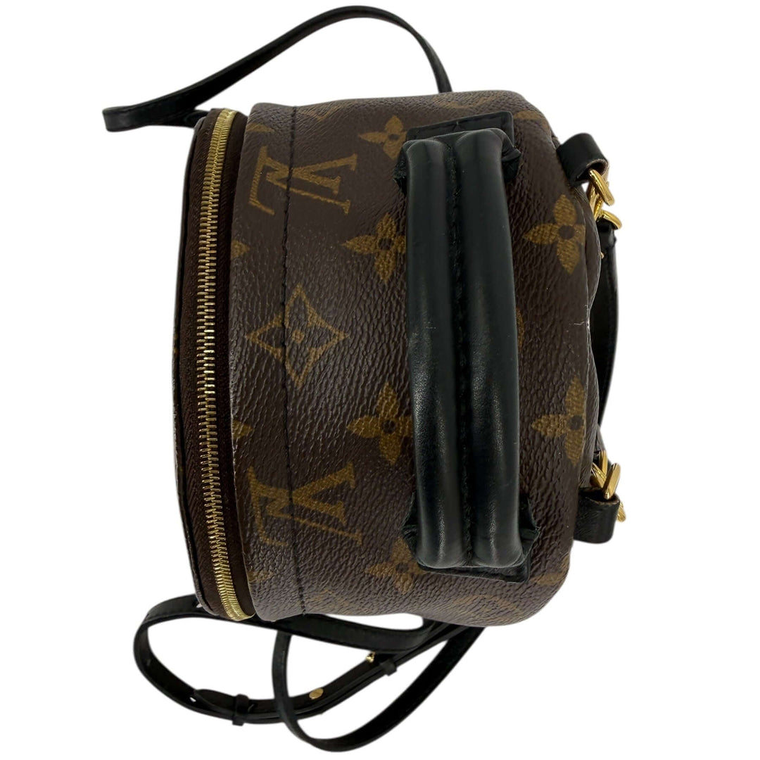 Louis Vuitton Palm Springs Mini Monogram Canvas Backpack
