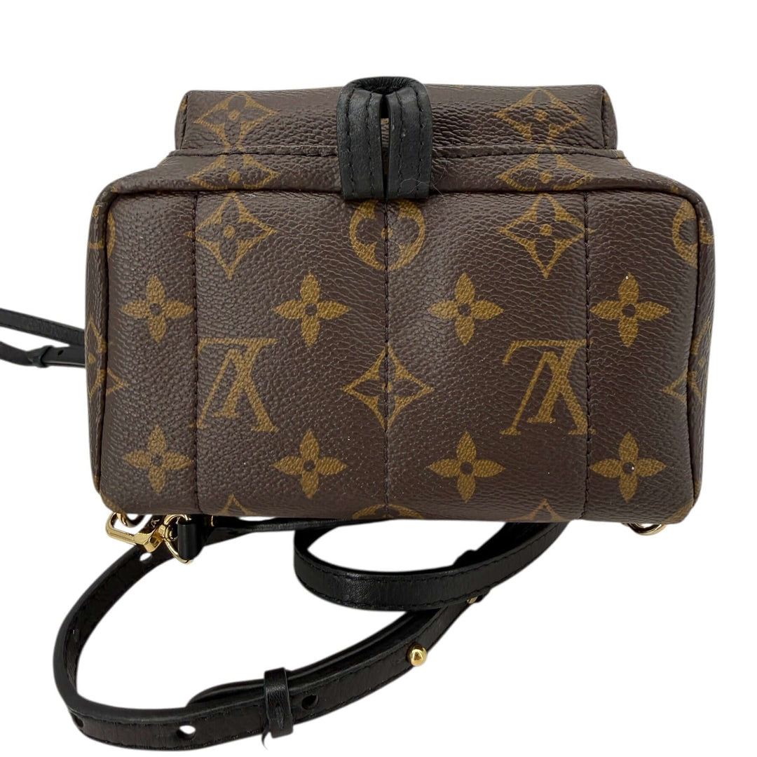 Louis Vuitton Palm Springs Mini Monogram Canvas Backpack