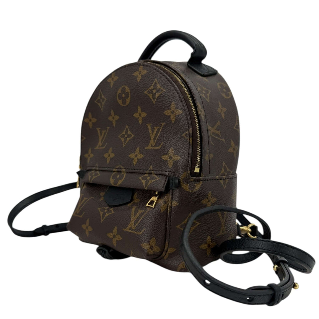 Louis Vuitton Palm Springs Mini Monogram Canvas Backpack