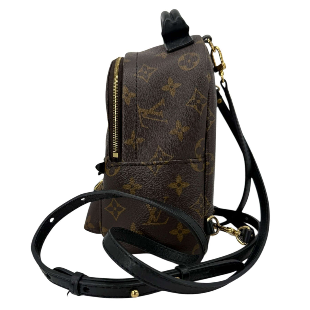 Louis Vuitton Palm Springs Mini Monogram Canvas Backpack