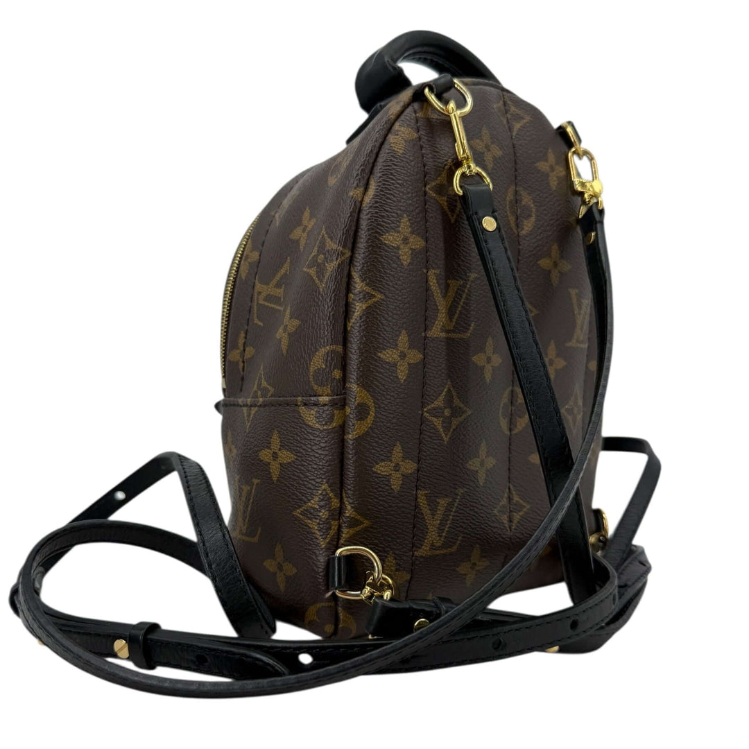 Louis Vuitton Palm Springs Mini Monogram Canvas Backpack