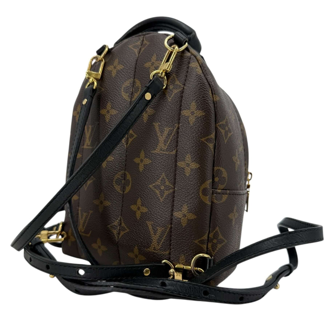 Louis Vuitton Palm Springs Mini Monogram Canvas Backpack