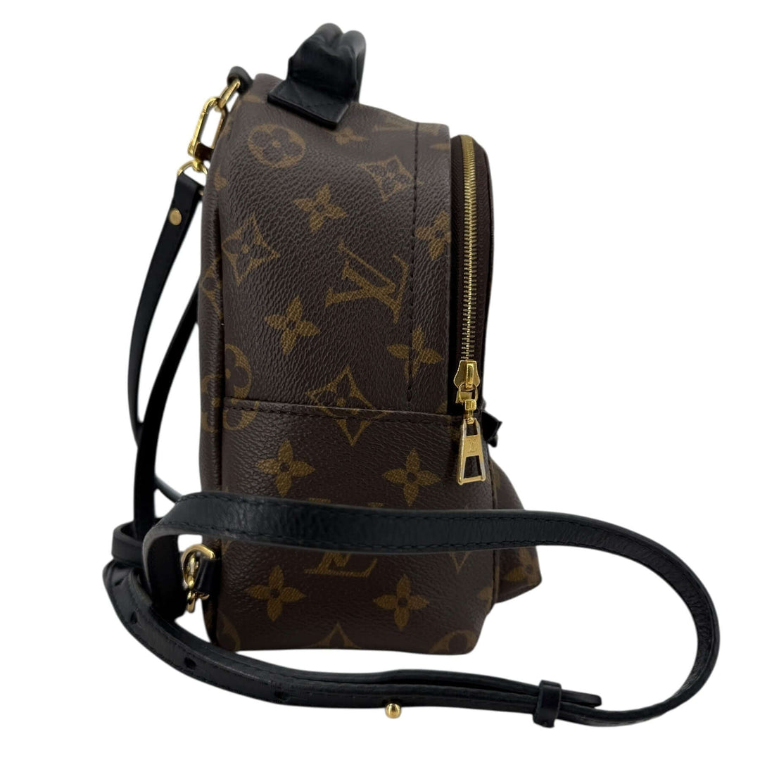 Louis Vuitton Palm Springs Mini Monogram Canvas Backpack