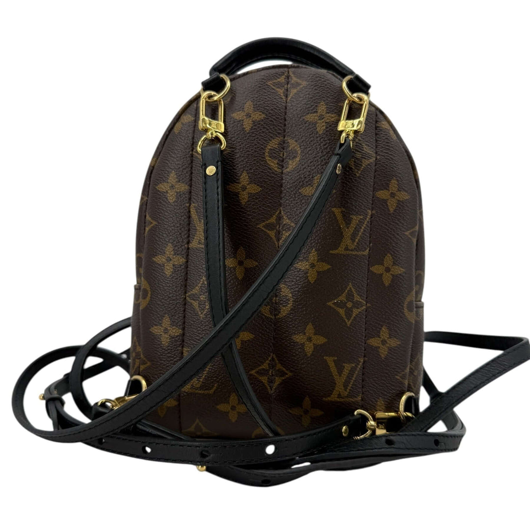 Louis Vuitton Palm Springs Mini Monogram Canvas Backpack