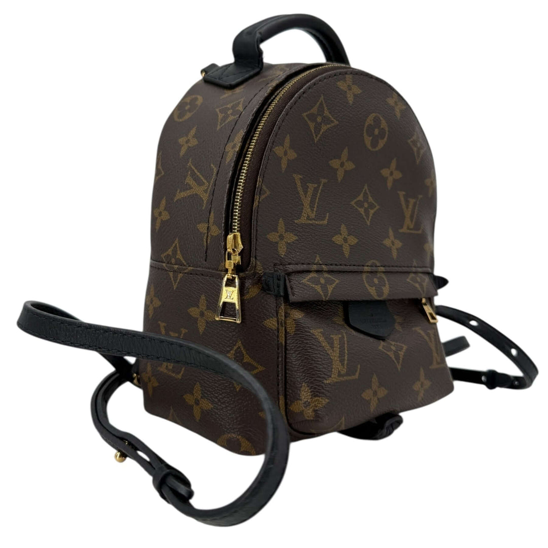 Louis Vuitton Palm Springs Mini Monogram Canvas Backpack
