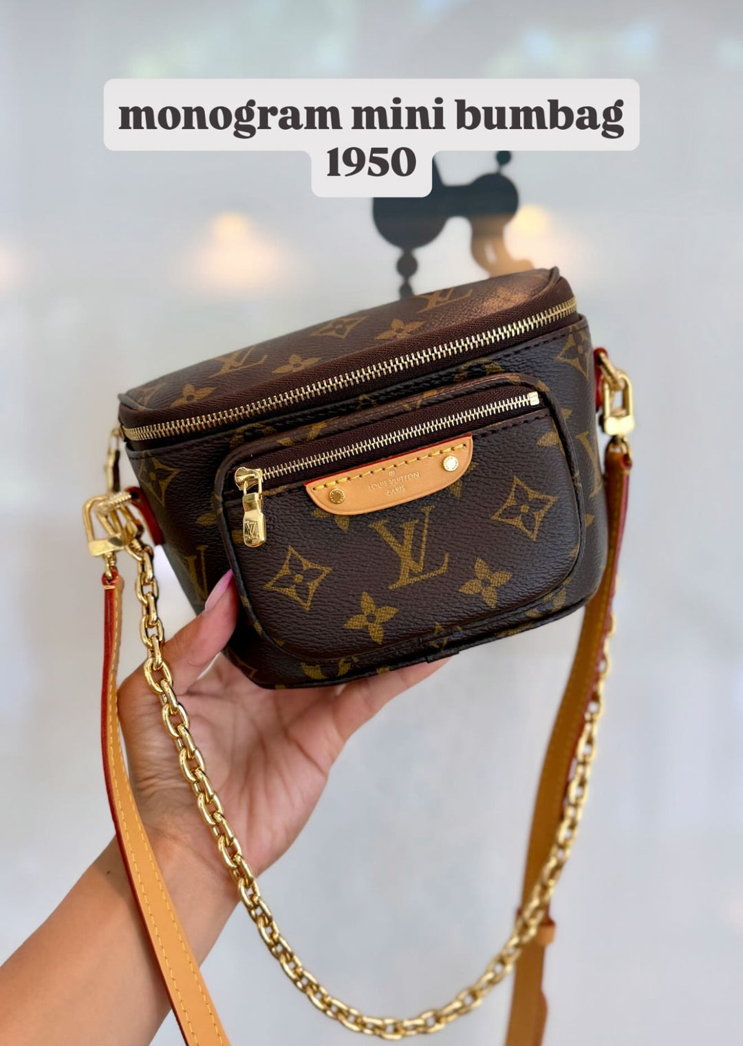 Lv monogram mini bumbag