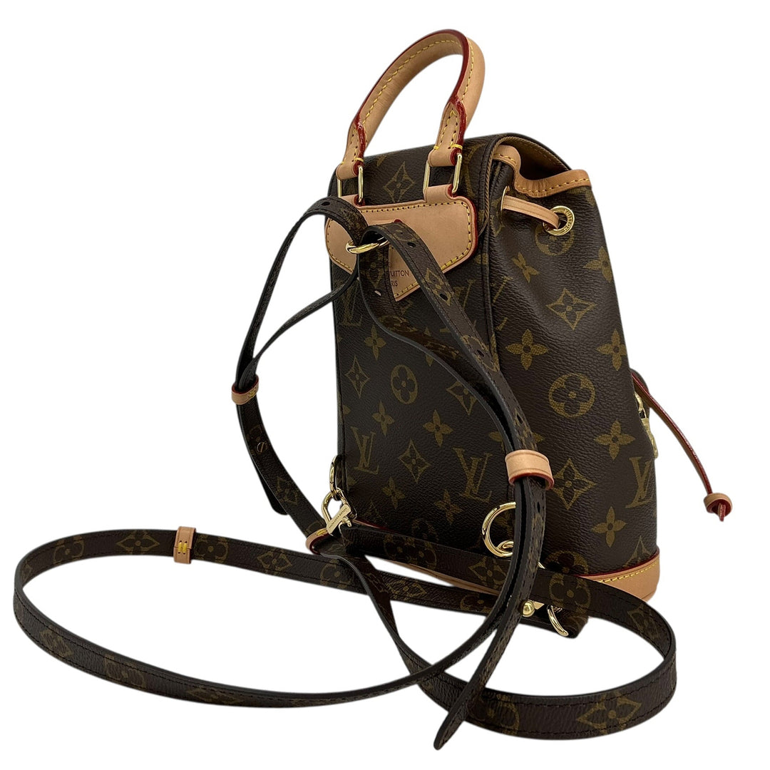 Angled rear view of Louis Vuitton Montsouris PM backpack